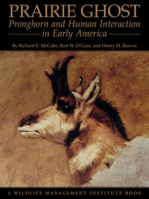 cover image of Prairie Ghost